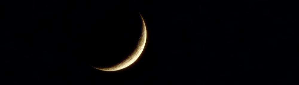 سید مهدی آوایی